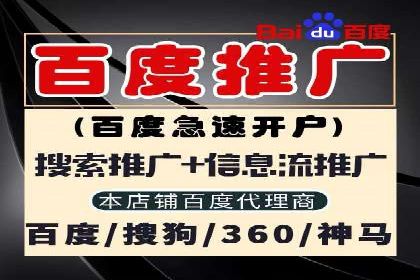 百度SEO推广实战案例：提升网站排名